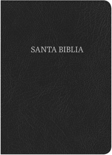 Biblia NVI/Letra Super Gigante/Negro/Piel Fabricada