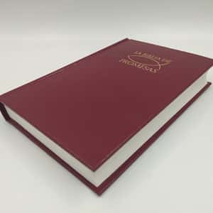 Biblia De Promesas/RVR/Edicion Economica/Rustica/Vino