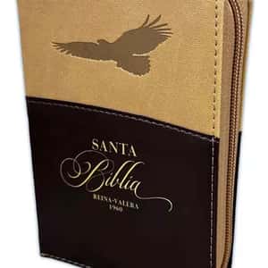 Biblia RVR60025czti/ PJR/ Expresion/Cafe/Cafe/Aguila/Imitacion Piel