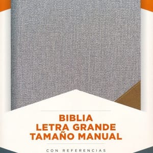 Biblia RVR1960/Letra Grande/Tamaño Manual/Simil Piel/Gris Marron