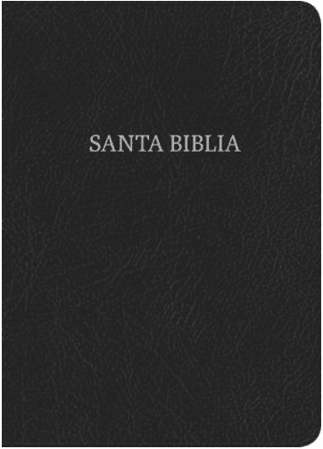 Biblia NVI/Letra Super Gigante/Negro/Piel Fabricada