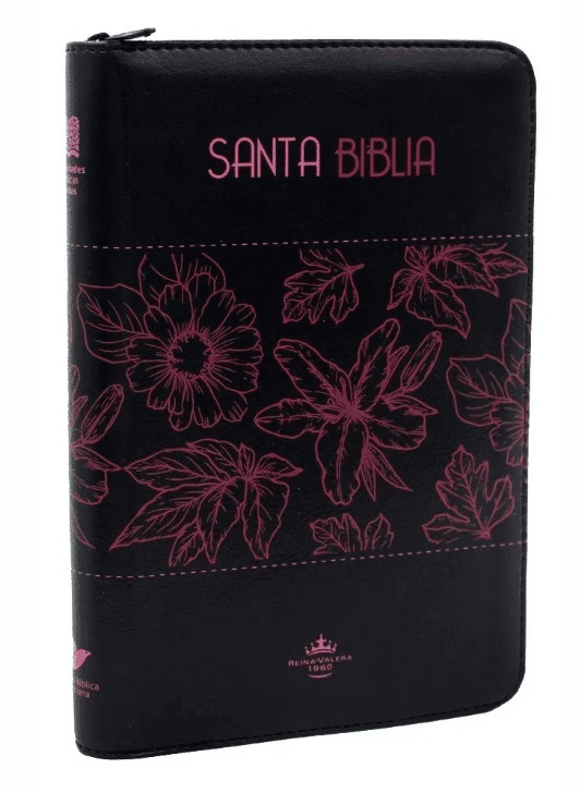 Biblia/RVR065CZLG/PJR/Negro Canto Fucsia