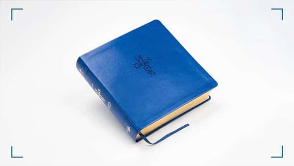 Biblia QR (NTV) Principios Para Vivir/Color Azul