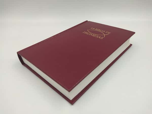 Biblia De Promesas/RVR/Edicion Economica/Rustica/Vino