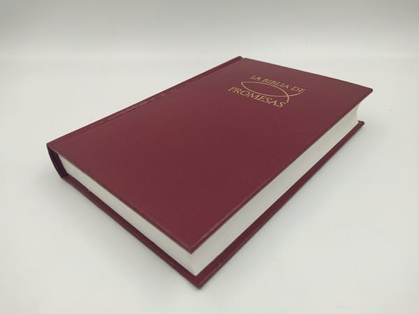 Biblia De Promesas/RVR/Edicion Economica/Rustica/Vino
