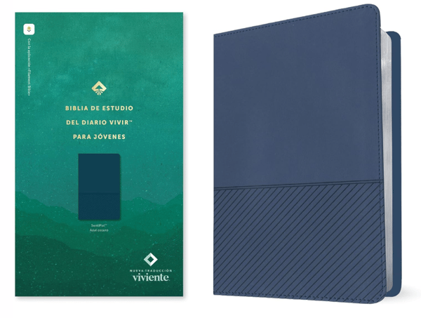 Biblia Diario Vivir Filament NTV Para Jovenes/ Azul Imitacion Piel