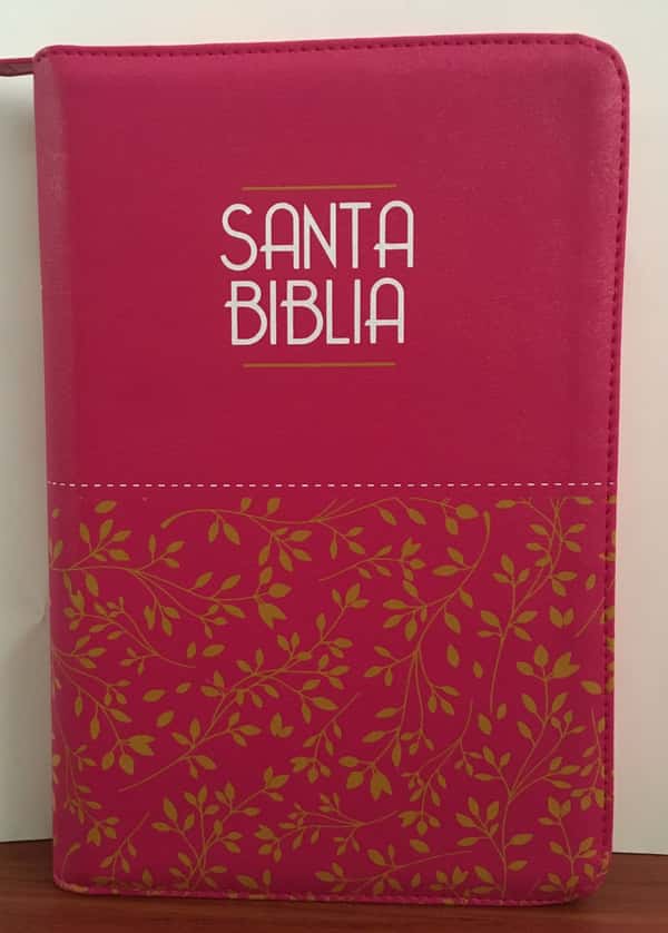 Biblia/RVR065LG/PJR/ Fucsia C- Fucsia