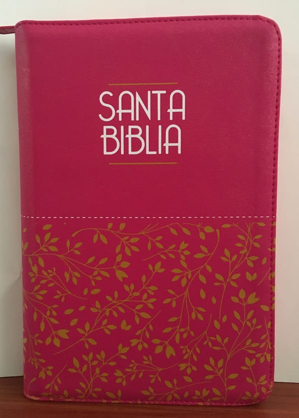Biblia/RVR065LG/PJR/ Fucsia C- Fucsia